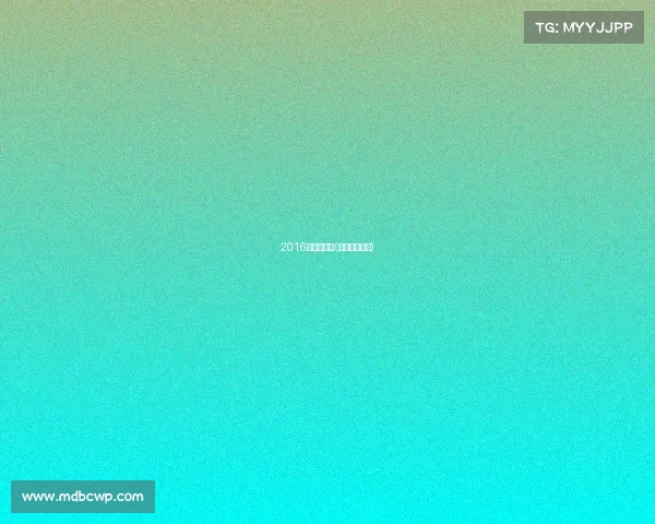 2016年勒芒赛事(勒芒比赛冠军)